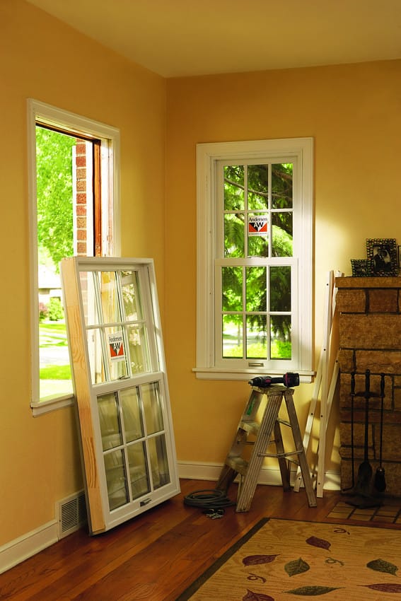 Windows and Doors